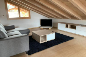 Région de GSTAAD, charmant chalet duplex de 80m2